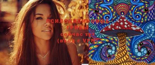 прущие грибы Зеленокумск