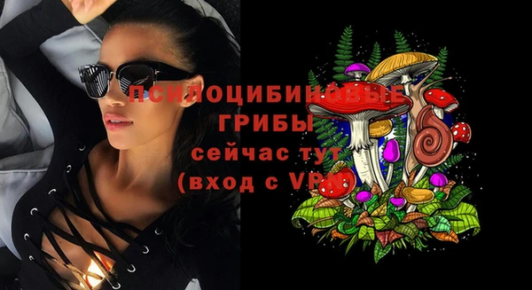 прущие грибы Зеленокумск